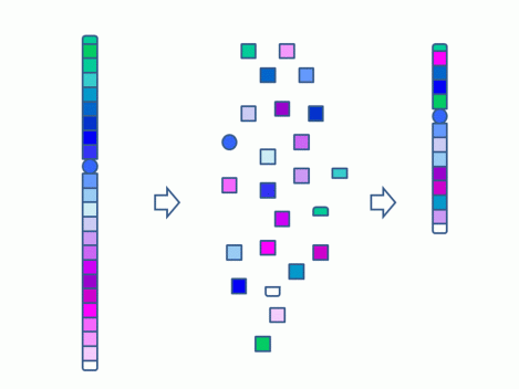 This shows how the chromosome shatters and rejoins in a random order. Note that the two ends of the chromosome and the centromere (represented by a circle) are preserved. These are essential features of a functioning linear chromosome. From MacKinnon and Campbell 2013. Cancer Genetics 206:238-251.